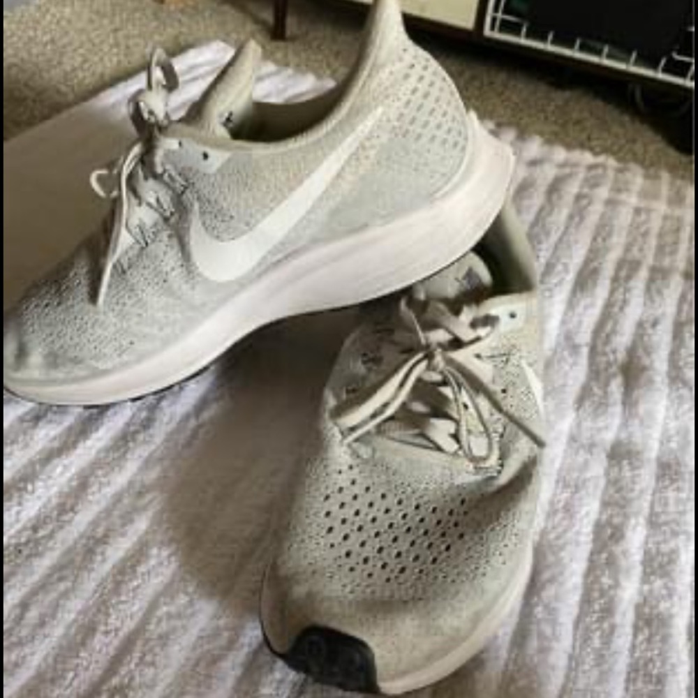 Nike Pegasus Shoes